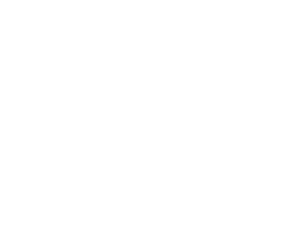 Max and Leo's Pizza Logo